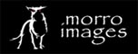 morro images: Visual Effects and Animation Studio
